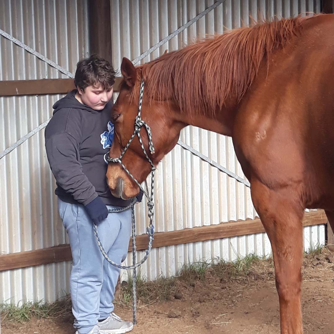 equine-therapy-melbourne-victoria