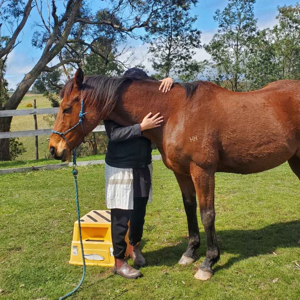 equine-horse-therapy-near-me