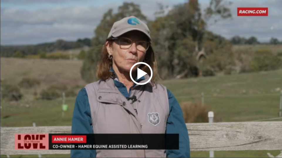 equine-assisted-learning-video