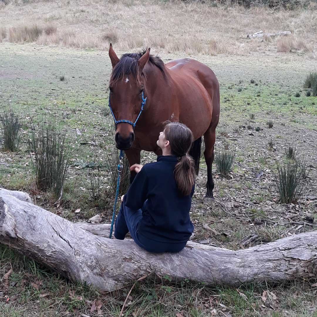 equine-assisted-learning-victoria