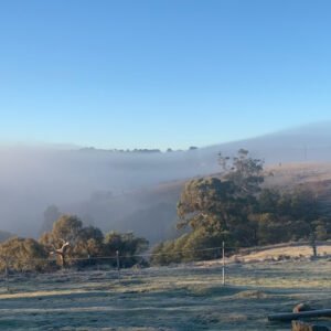 Thriving-Emotionally-in-Winter