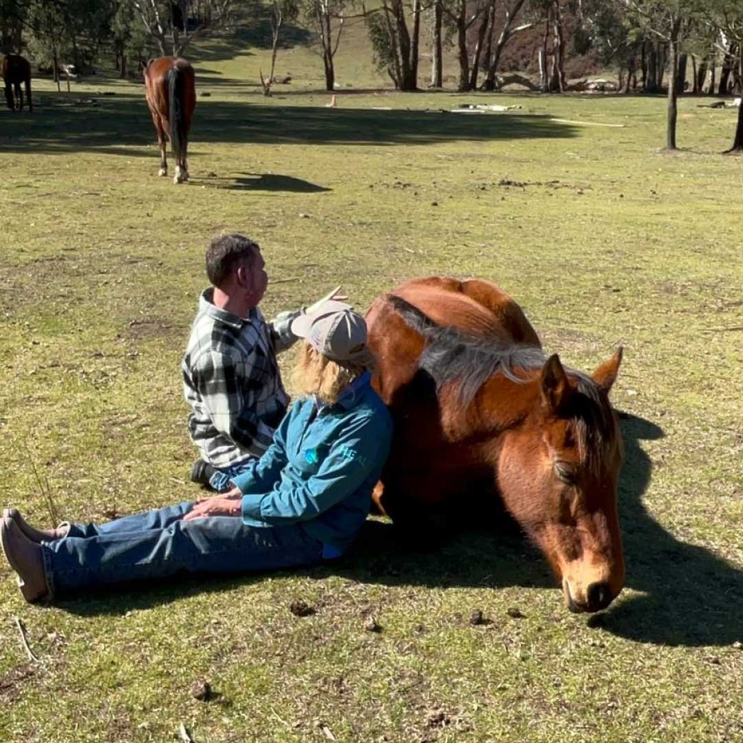 Declan-equine-assisted